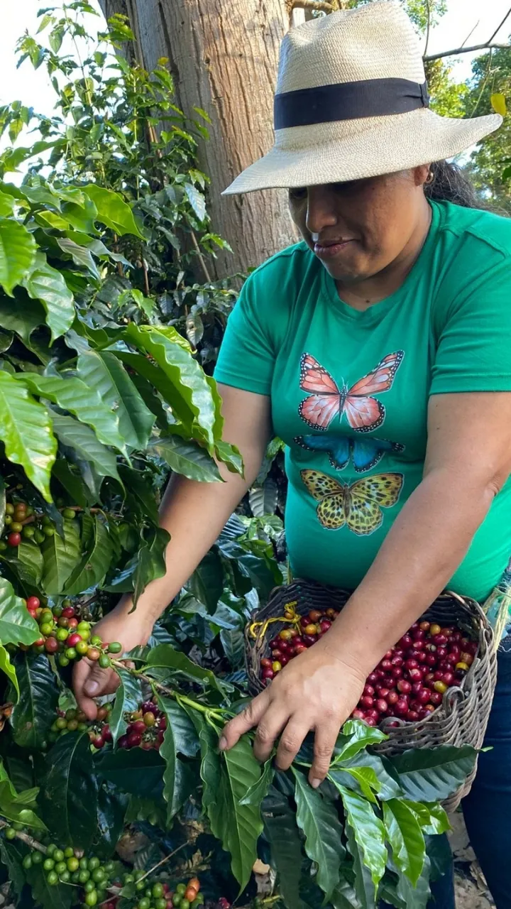 Galería sensorial Metamorfosis