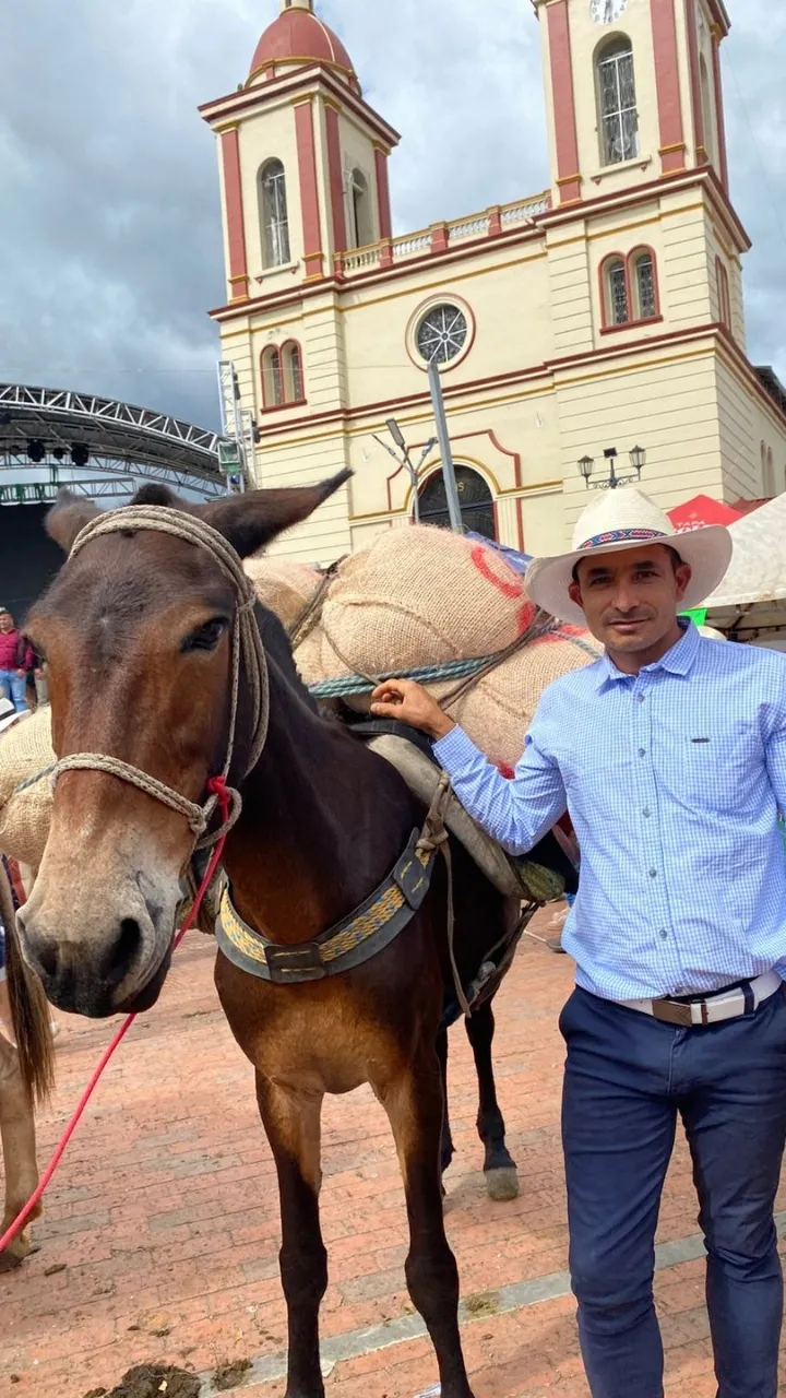 Galería sensorial Metamorfosis