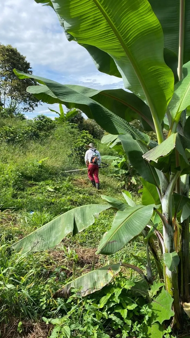 Galería sensorial Metamorfosis