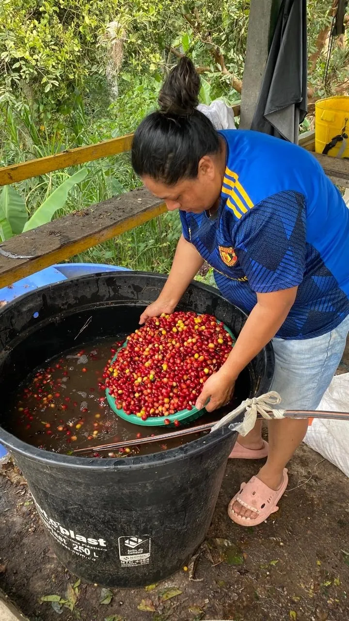 Galería sensorial Metamorfosis