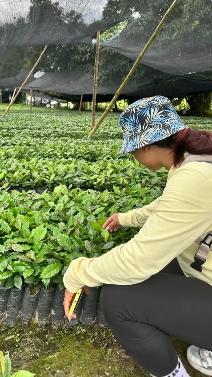 Galería sensorial Metamorfosis